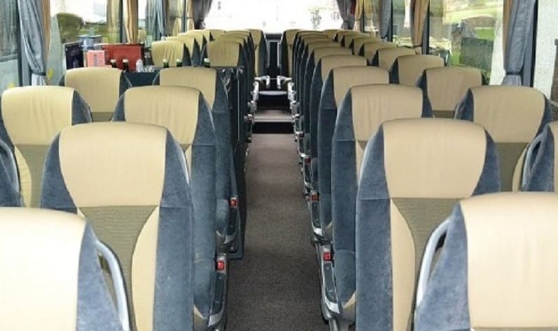 Albania: Coach operator in Berat in Berat and Berat (Berati)